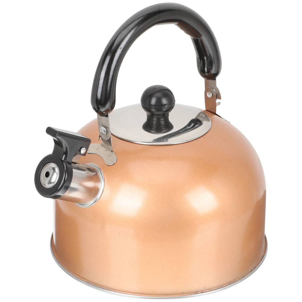 Household Water Kettle Heating Water Pot Thick Water Kettle Whistling Kettle Stovetop Water Boiler