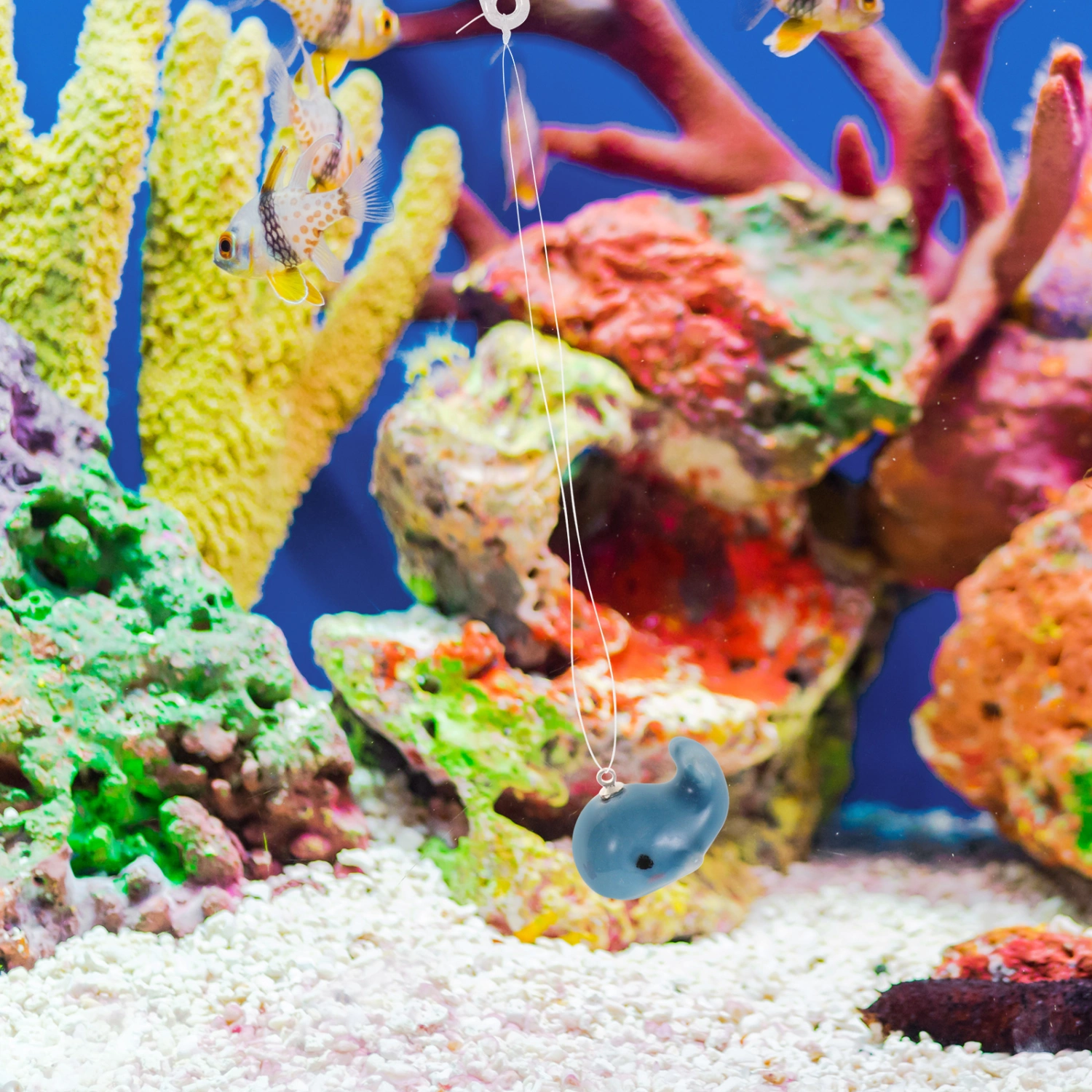 2Pcs Fish Tank Floating Marine Animal Decors Fish Tank Floating Decors Floating Fish Tank Accessories