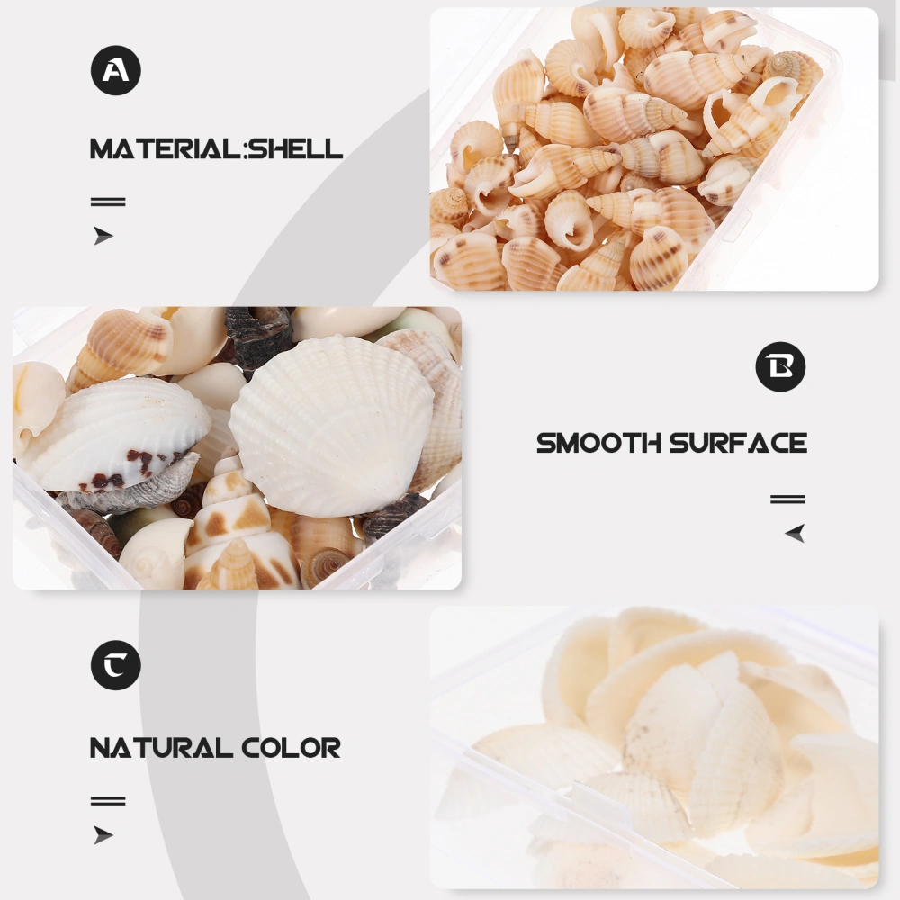 3 Boxes of Delicate Natural Shells DIY Embellishment Seashells Decor DIY Craft Material