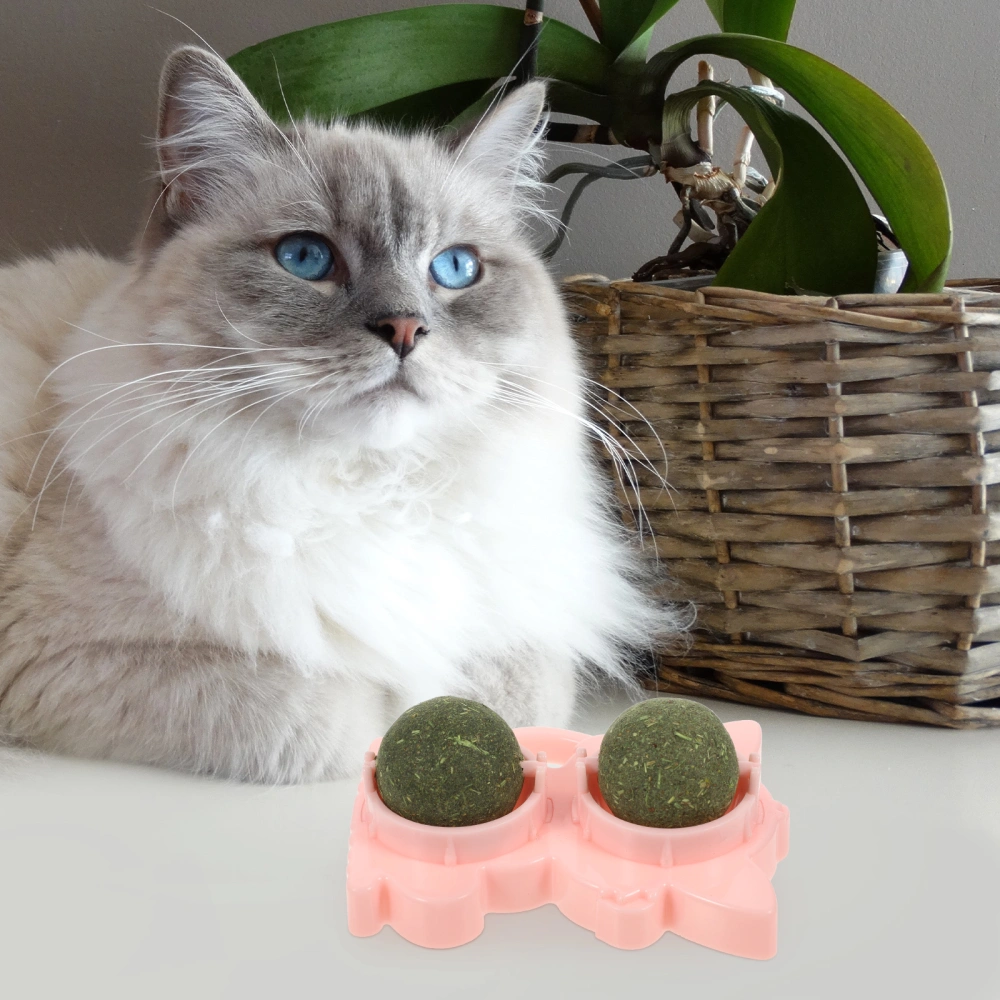 2pcs Cat Catnip Balls Indoor Catnip Toy 2-in-1 Catnip Ball Cat Plaything