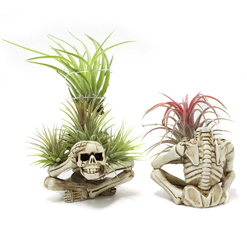 Succulent Plant Pot Simulation Skeleton Ornament Desktop Air Plant Storage Holder