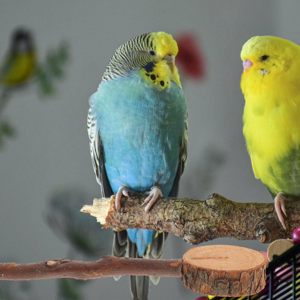 3pcs Bird Perches Parrot Wood Perches Cockatiel Toys Biting Toy Bird Perches Stand