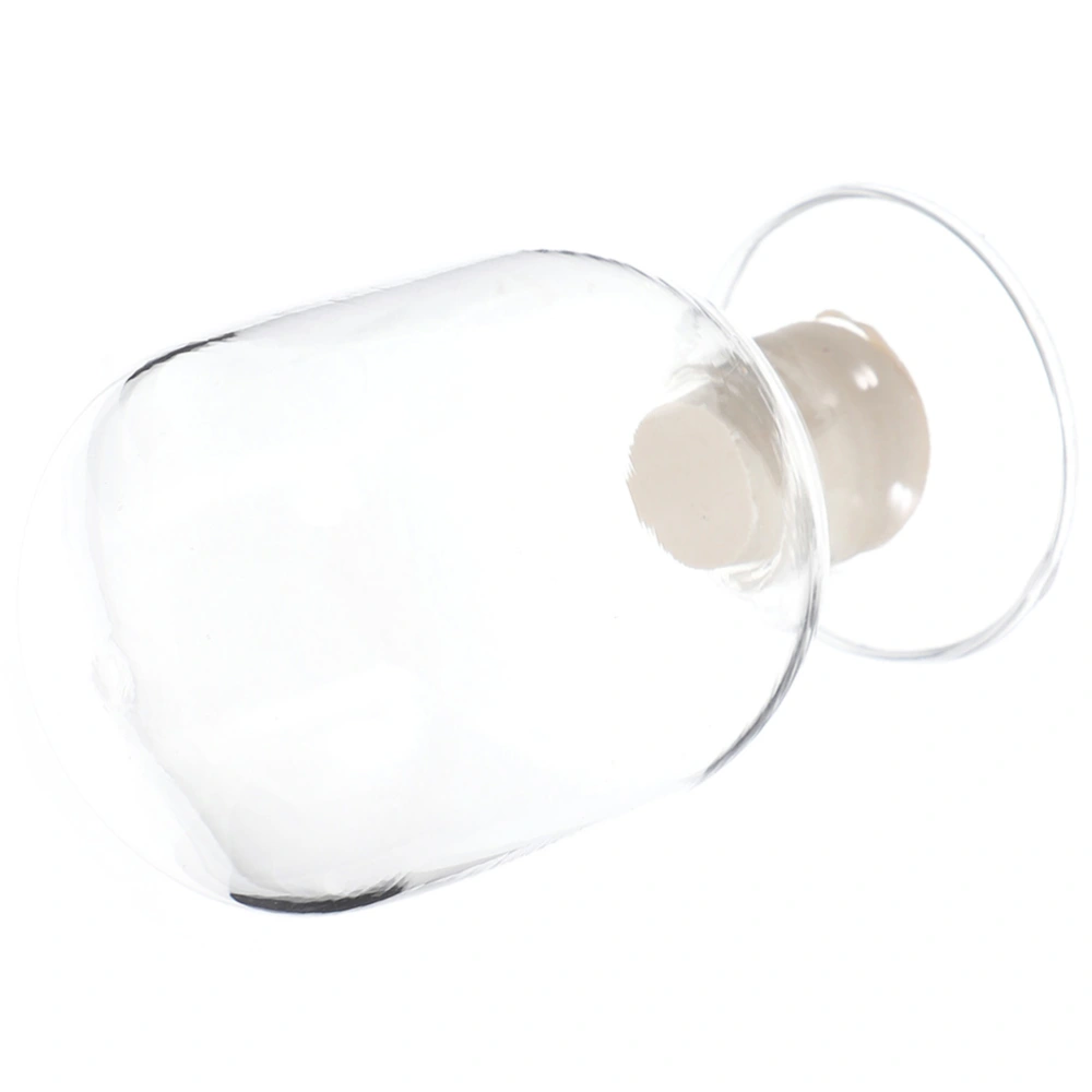 Glass Storage Bottle Transparent Round Bottle Display Bottle for Experiment