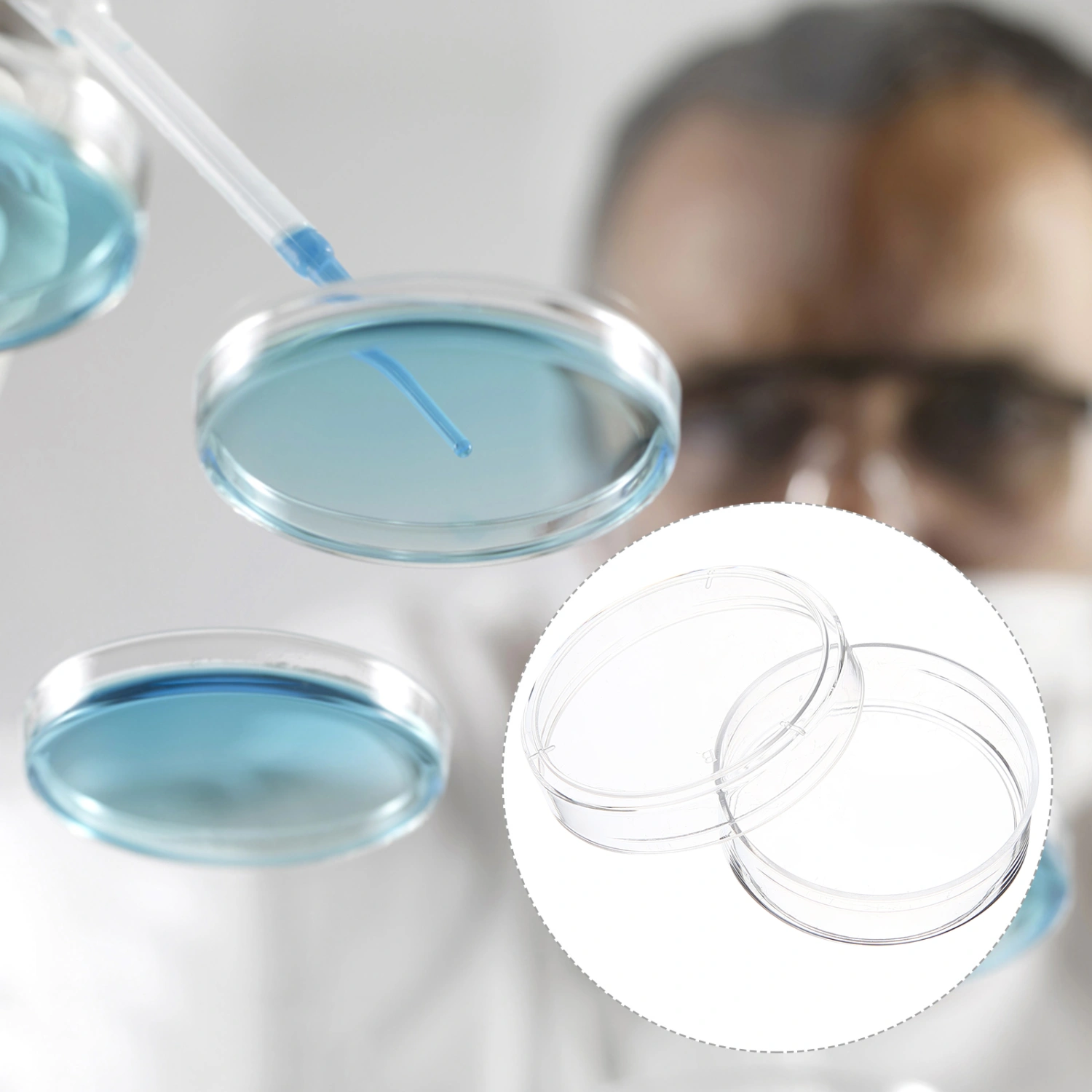 30pcs Plastic Petri Dish with Lid Tissue Culture Plate Science Experiment Supplies