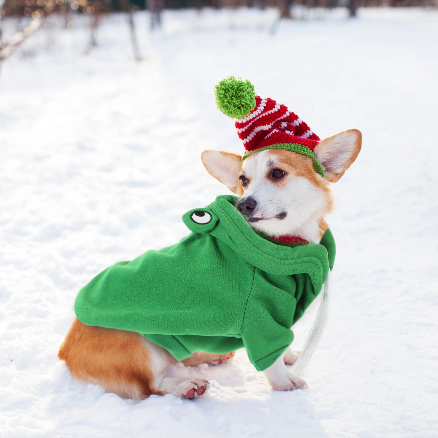 Thickened Dog Clothes Fashion Puppy Sweatshirt Adorable Puppy Clothing Warmth Clothes for Dogs