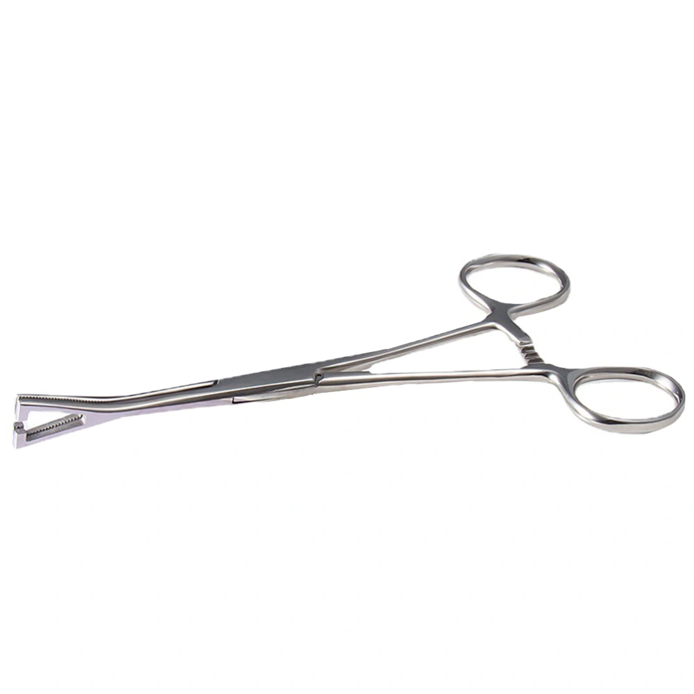 Stainless Steel Piercing Plier Piercing Tool Piercing Clamps Body Piercing Forceps for Body