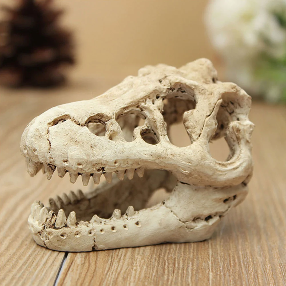 2Pcs Fish Tank Hideout Ornament Dinosaur Skull Hideout Craft Simulated Dinosaur Skull Decoration