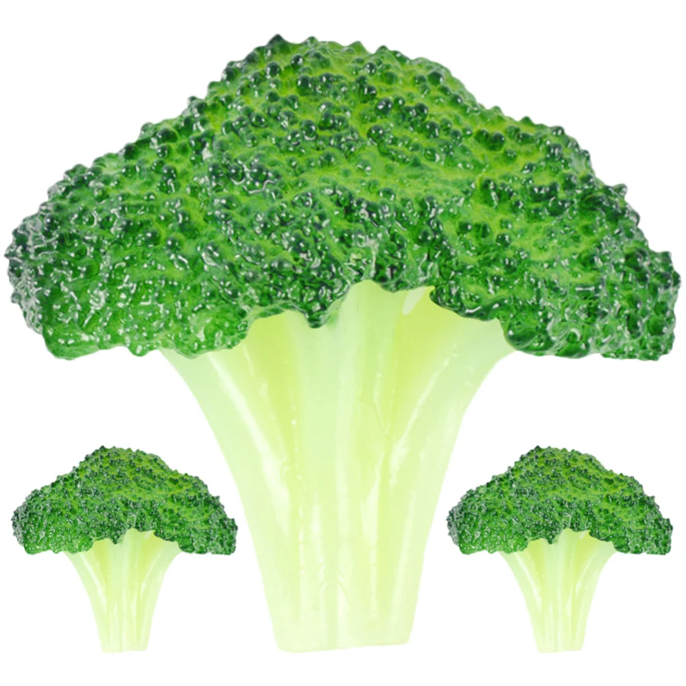 3Pcs Fake Broccoli Decorations Artificial Vegetable Simulated Broccoli Models Showcase Display Props