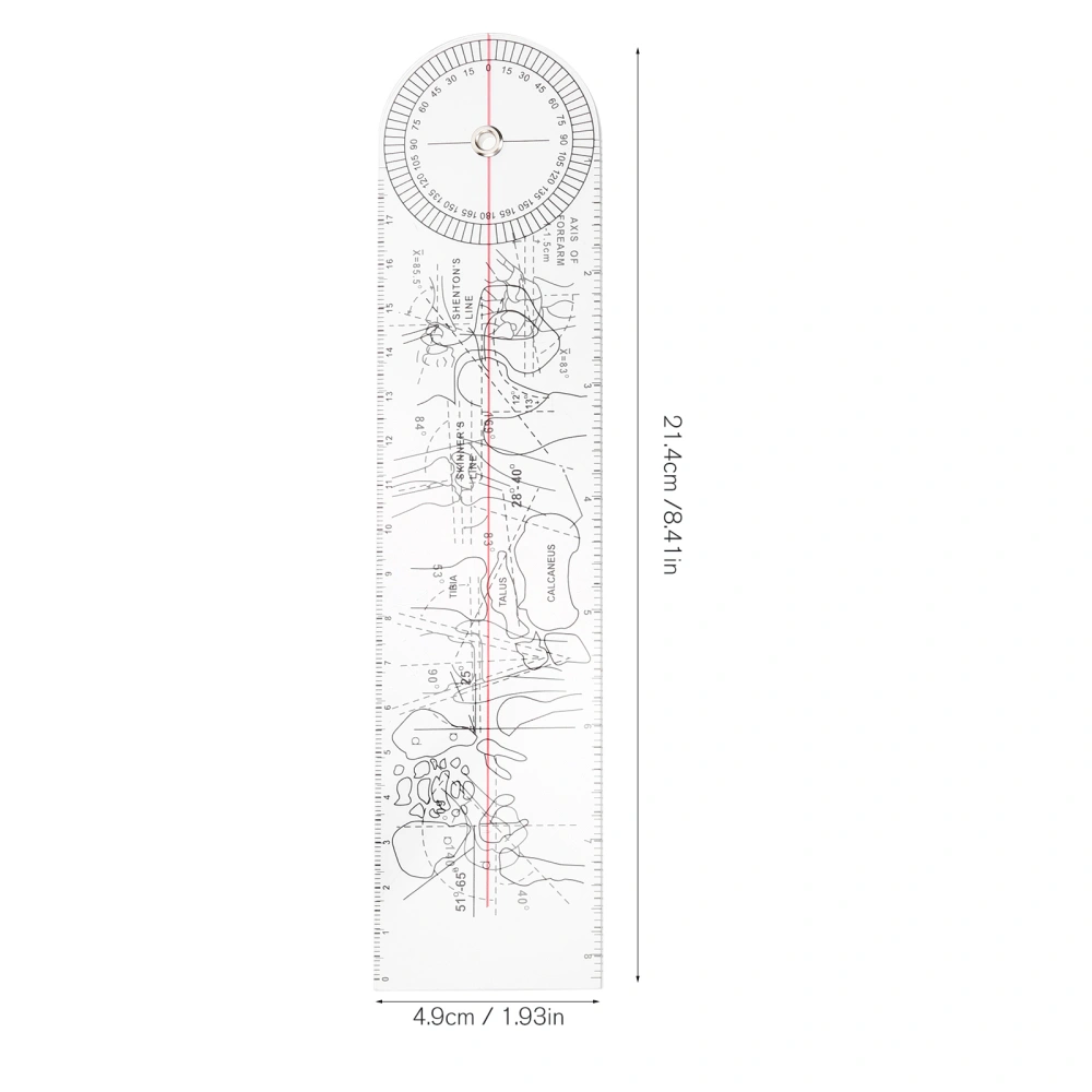 3Pcs Spinal Goniometer Angle Ruler Professional Medical Therapy Angle Ruler Hospital Accessory