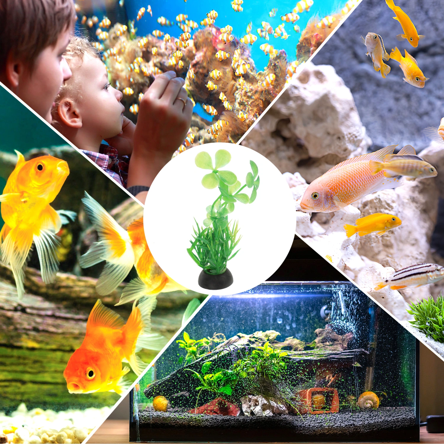 10Pcs Aquarium Plant Aquatic Water Grass Plants for Betta Fish Tank Decor Fish Tank Decorations