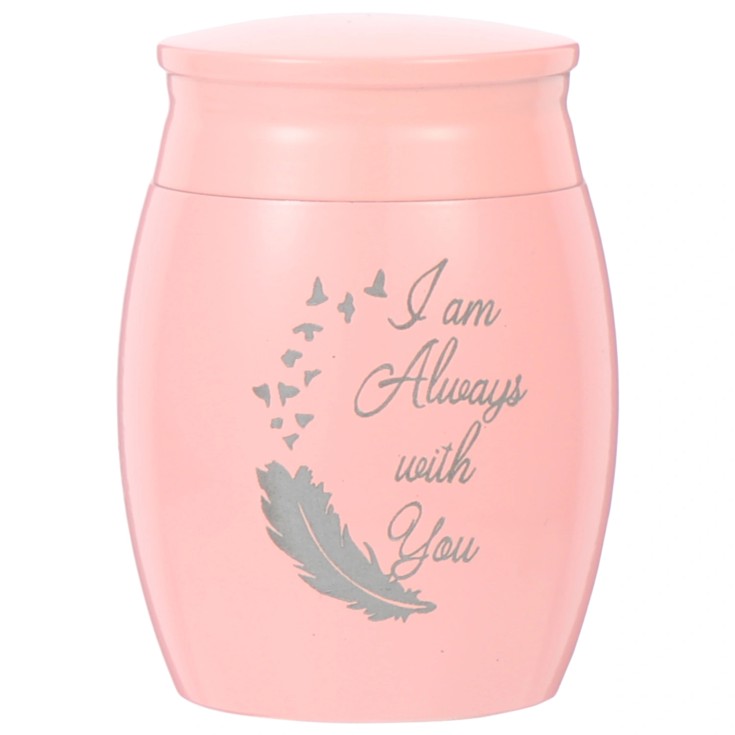 Small Pet Urn Aluminum Alloy Pet Cinerary Container Cat Dog Keepsake Cinerary Casket