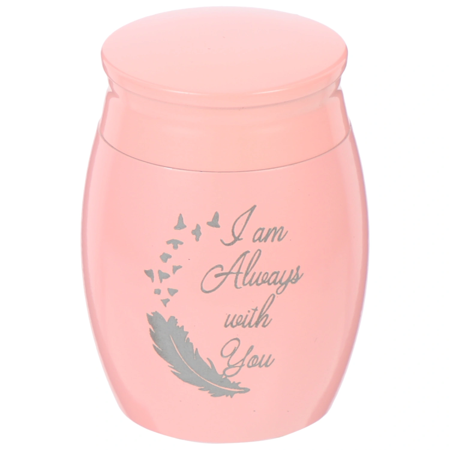 Small Pet Urn Aluminum Alloy Pet Cinerary Container Cat Dog Keepsake Cinerary Casket