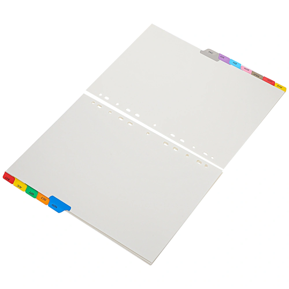 12 Sheets of Binder Dividers with Tabs Notebook Binder Dividers Detachable A4 Binder Page Markers