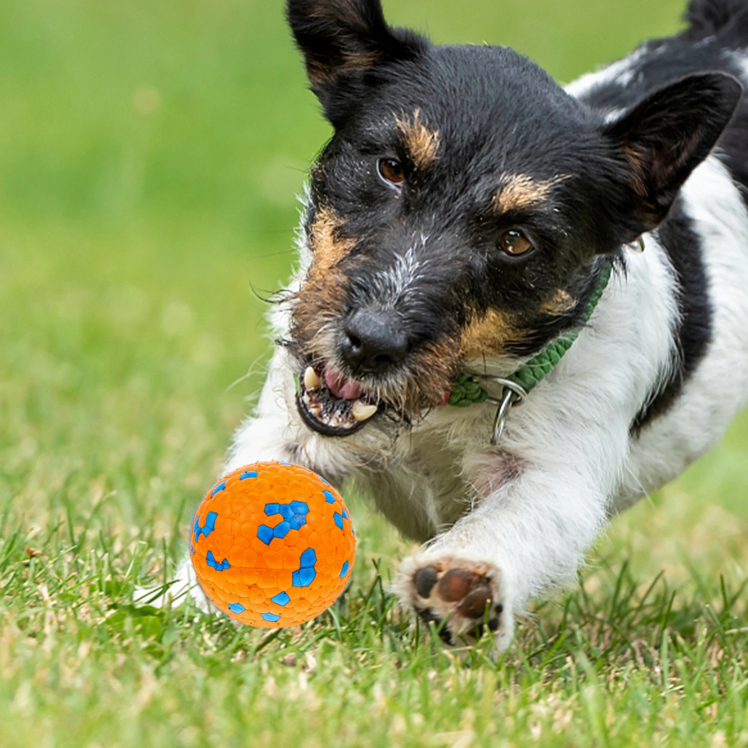 Dog Ball Interactive Ball Training Dog Ball Dog Toy Ball for Aggressive Chewers
