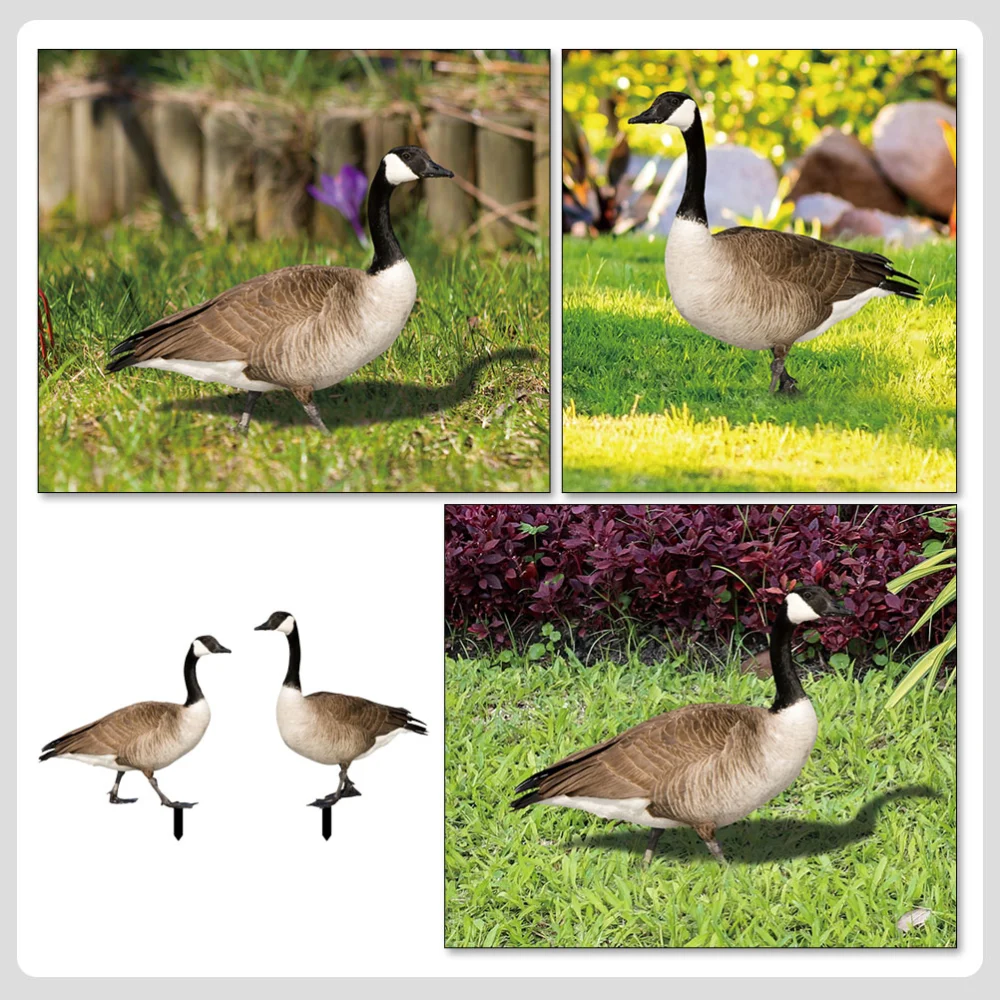 2pcs Garden Duck Stakes Garden Duck Decoration Acrylic Duck Signs Garden Decoration