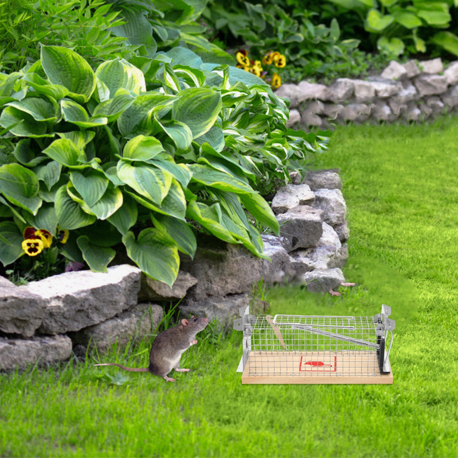 2pcs Practical Mouse Trap Catcher Rat Weasel Catch Snap Trap Mice Pest Control Tool