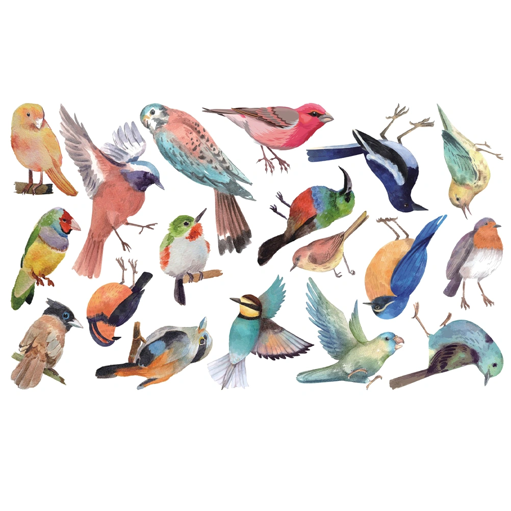 1 Sheet Removable Bird Sticker DIY Wall Decal Peel and Stick Bird Sticker