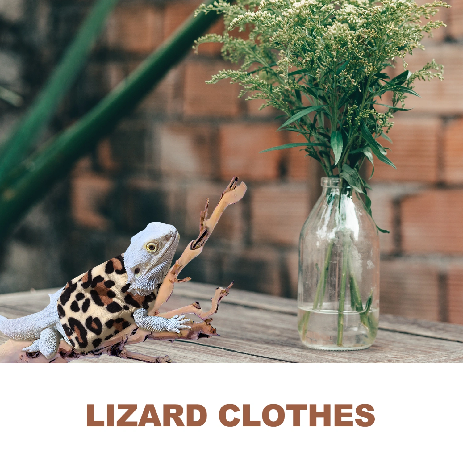 Lizard Clothes for Bearded Dragons Reptile Small Clothes Outdoor Warm Clothing Lizard Accessory