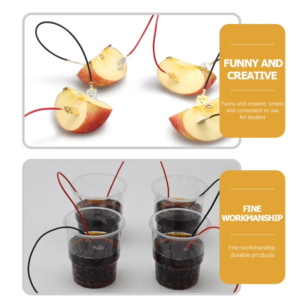 1 Set DIY Fruit Battery Science Experiment Educational Fruit Battery for Student