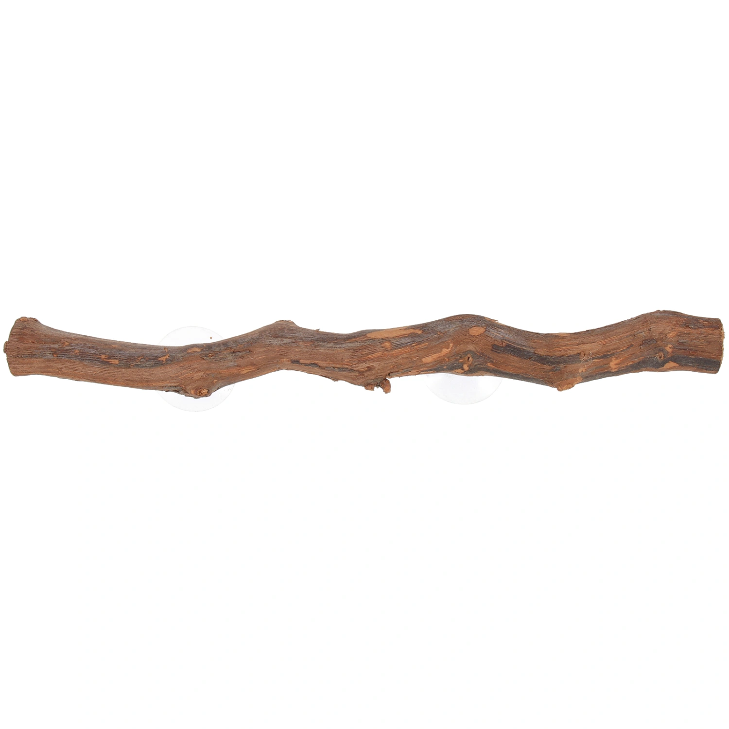 Bearded Dragon Accessory Wooden Tree Branch Reptile Tree Branch Lizard Reptile Toy