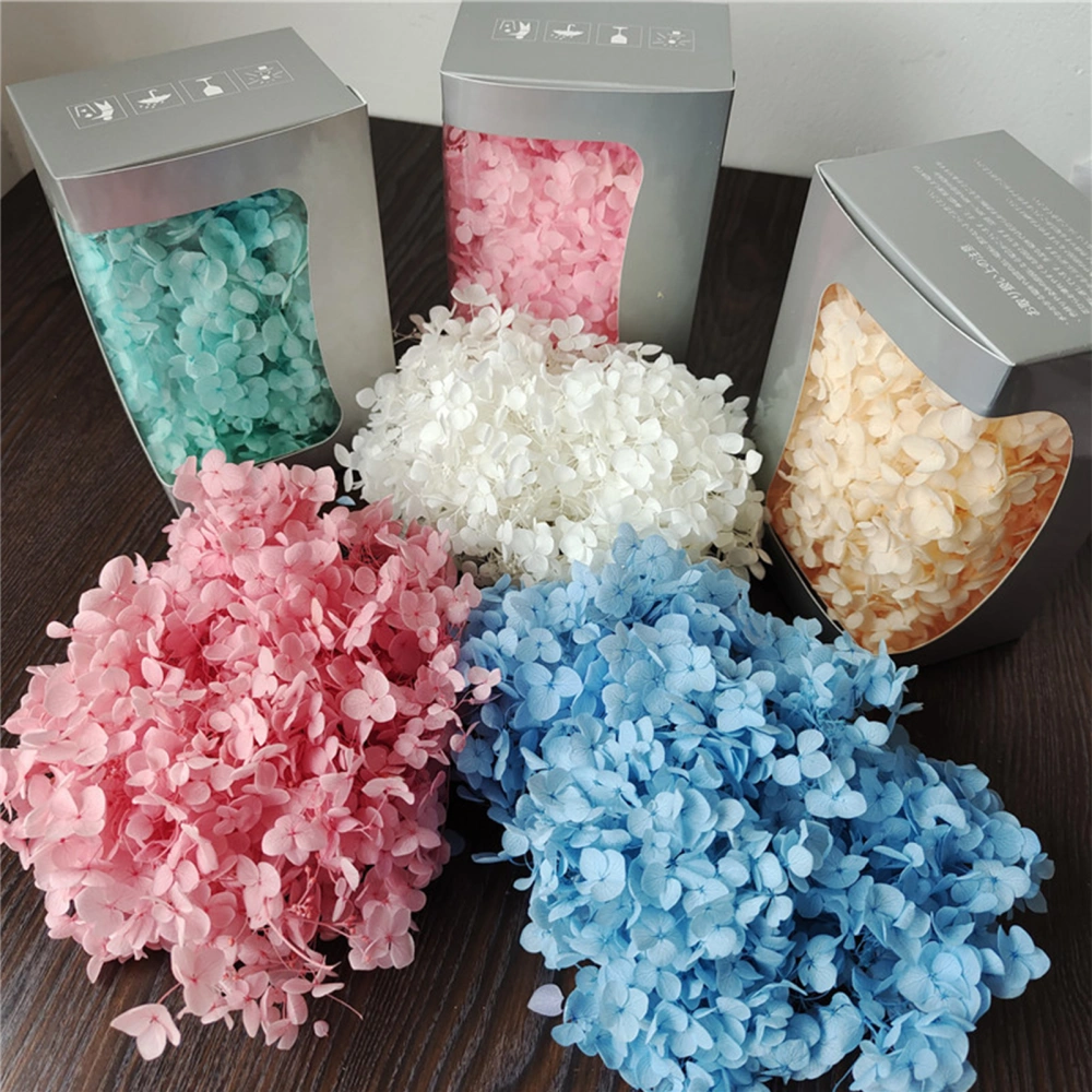 20g/Box Dried Flowers No Watering Decorative Fresh-keeping Artificial Hydrangea Flowers Gift Box Set Home Decor for Living Room