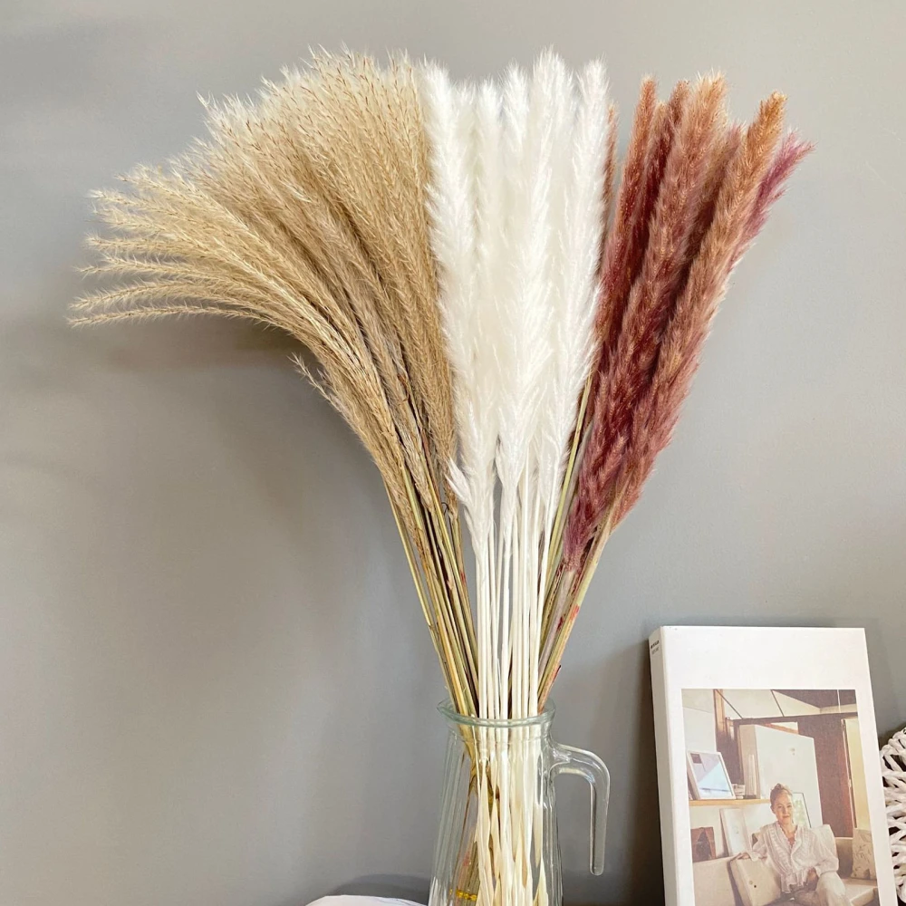 1 Bouquet Dried Flower Nordic Style Easy Care Flexible Natural Dried Reed Flowers Party Decor