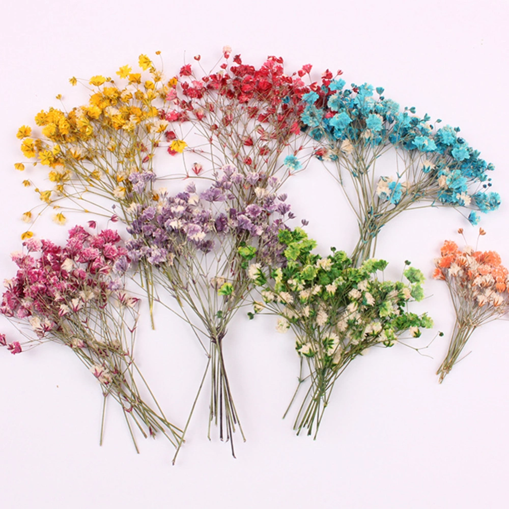 12Pcs Dried Flower Branch Specimen Epoxy Resin Card Bookmark DIY Accessories