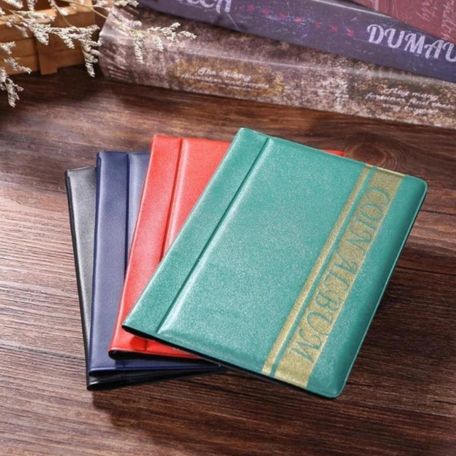Coin Collection Book Album 120 Pockets Coins Collection Album Coin Storage Organizer for Coin Money
