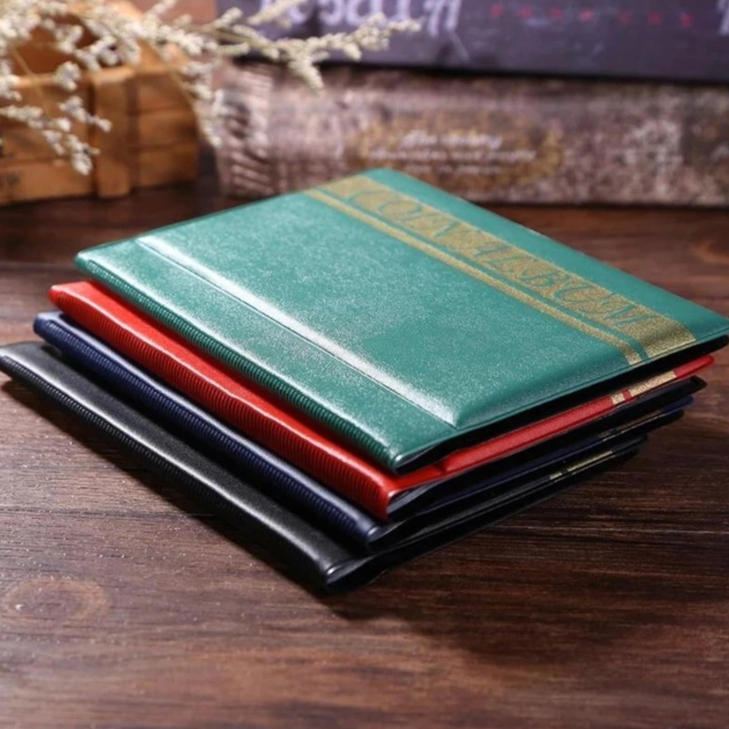 Coin Collection Book Album 120 Pockets Coins Collection Album Coin Storage Organizer for Coin Money
