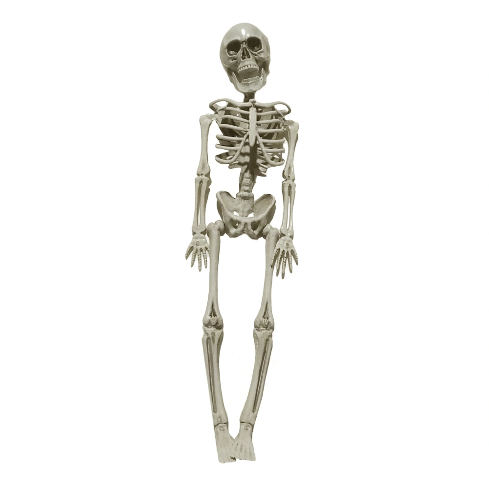 40 CM/15.7 Inches Halloween Human Skeleton Horror Holiday Prop Decoration with Movable Joints