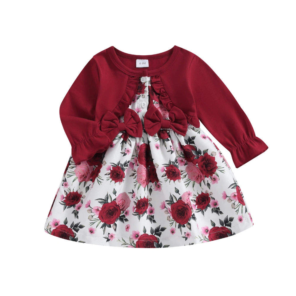 Kids Girl Fall Dress Fake Two Piece Floral Long Sleeves A-Line Party Dress for Toddler Baby Spring Clothes