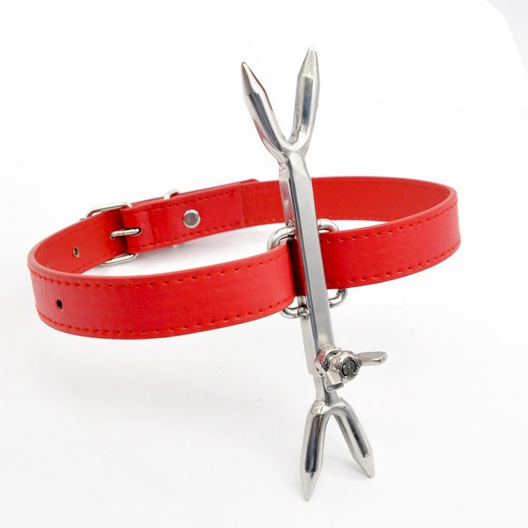 Men's And Women's Leather Pure Stainless Steel Binding Sexy Collar Toys