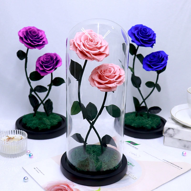 Glass Cover Rose Valentine's Day Christmas Gift