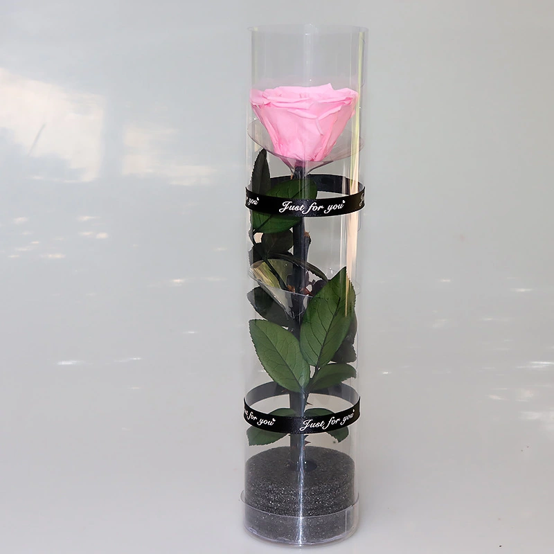 Creative Preserved Fresh Flower Cylinder Ornaments