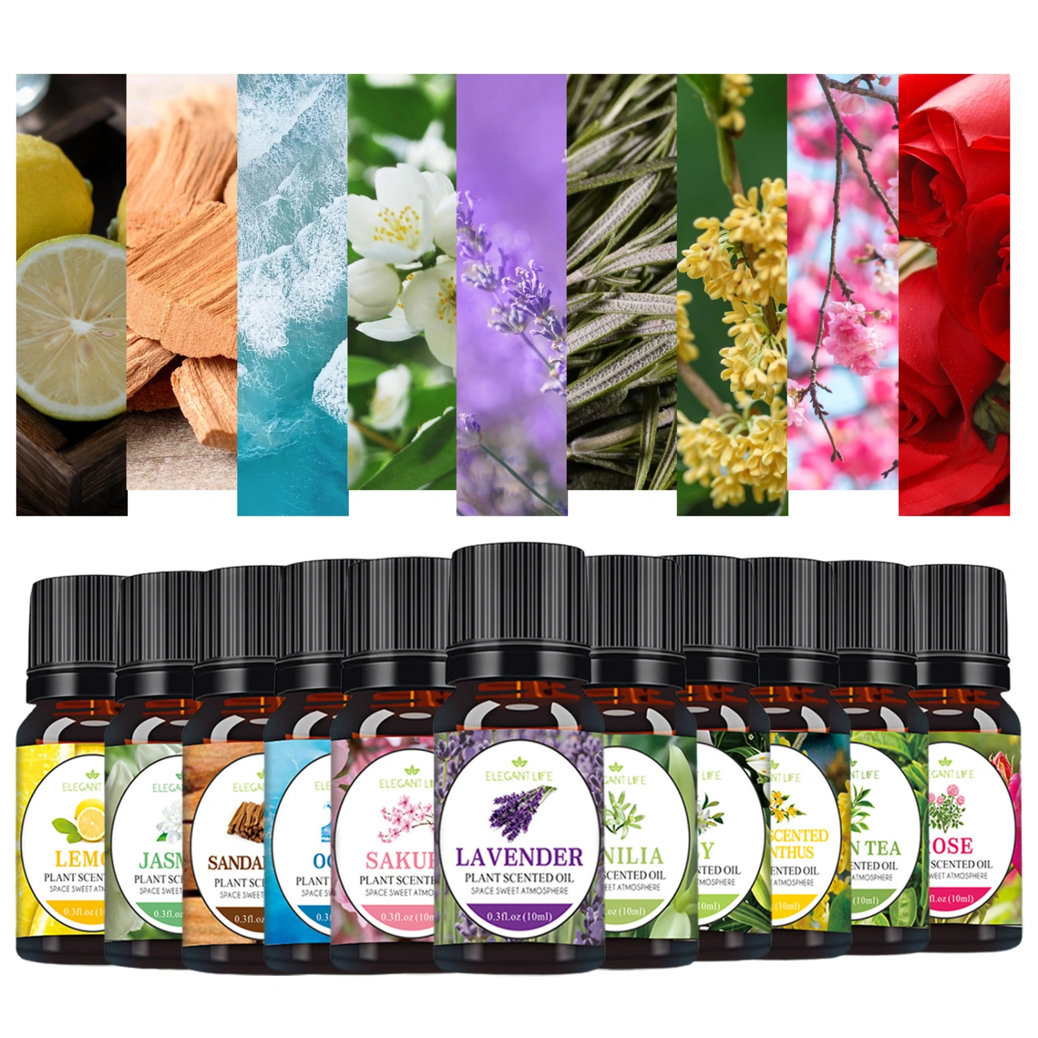 10ml Aromatherapy Oil Long Lasting Air Freshening Rose Lavender Essential Oil Plant Extracts Water-soluble Humidifier Fragrance Oil