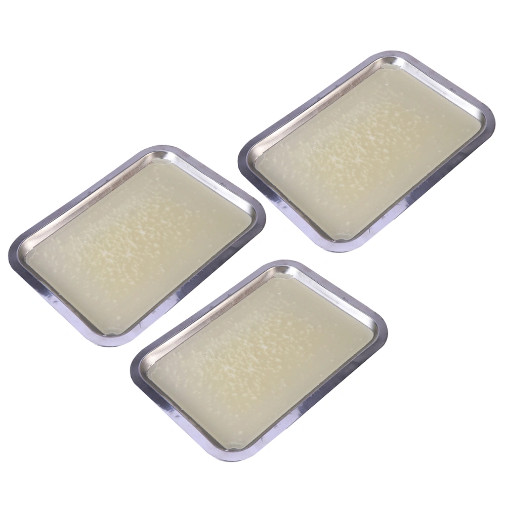 3pcs Wax Dissecting Tray Biological Laboratory Equipment for Junior Senior School