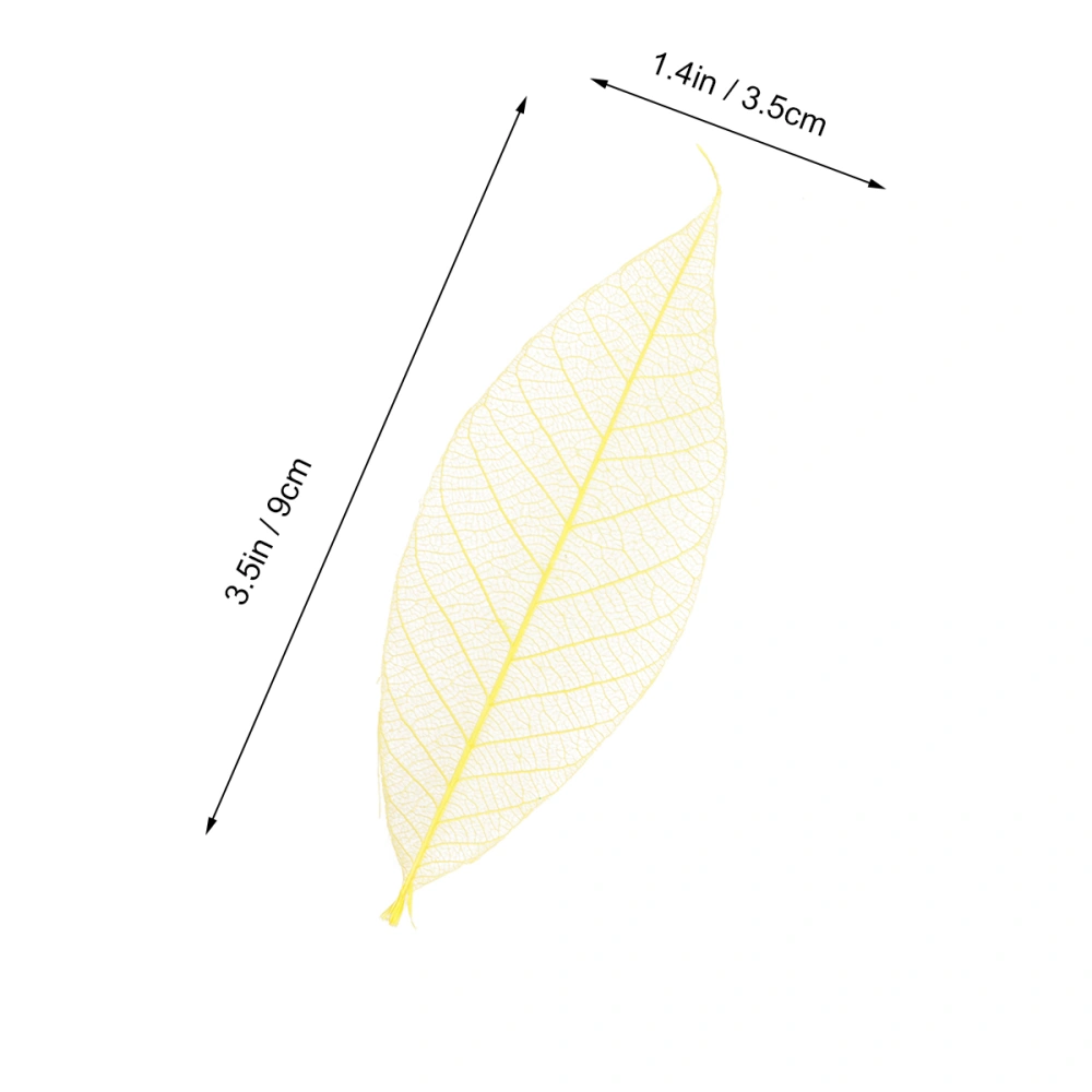 50pcs Rubber Tree Dried Flowers Specimen DIY Materials Bookmark Greeting Cards Manual Art Craft Multifunction Decoration(Yellow)