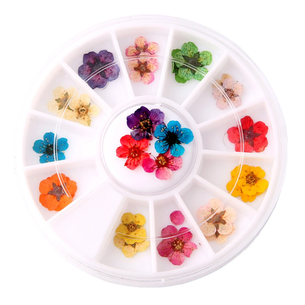 1 Box of Manicure Dried Flowers Nail Art Supplies Colorful Nail Tips 5 Petals Plum Blossom Sticker