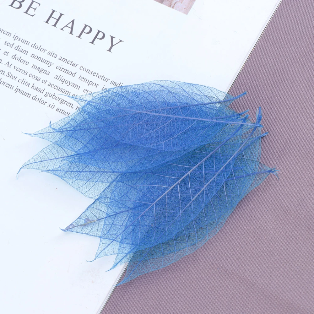 50pcs Rubber Tree Dried Flowers Specimen DIY Materials Bookmark Greeting Cards Manual Art Craft Multifunction Decoration(Sky Blue)