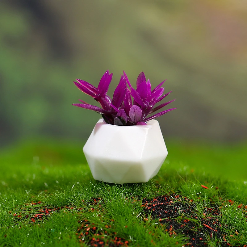 12pcs Tiny Plants Micro Landscape Potted Decorations Mini Flower Models Mini House Decors