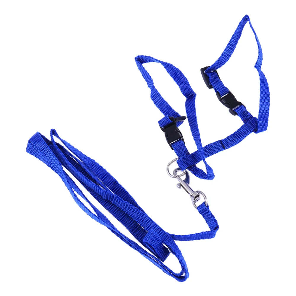 Pet Cat Harness Traction Rope Cat Nylon Collar Leash Pet Kitten Supplies Accessories (Blue)