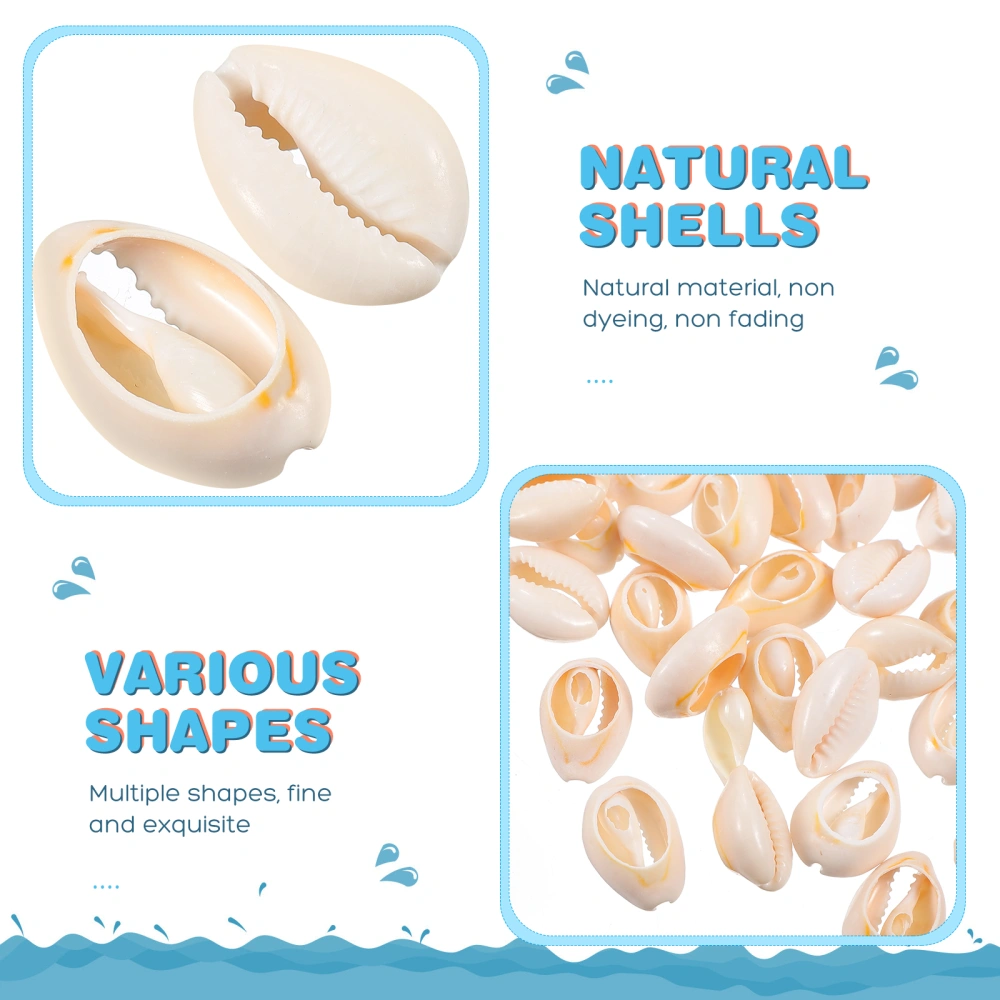 HEALLILY 50pcs Natural Sea Shells Pendants Ornament DIY Jewelry Making Accessories for Necklace Bracelet