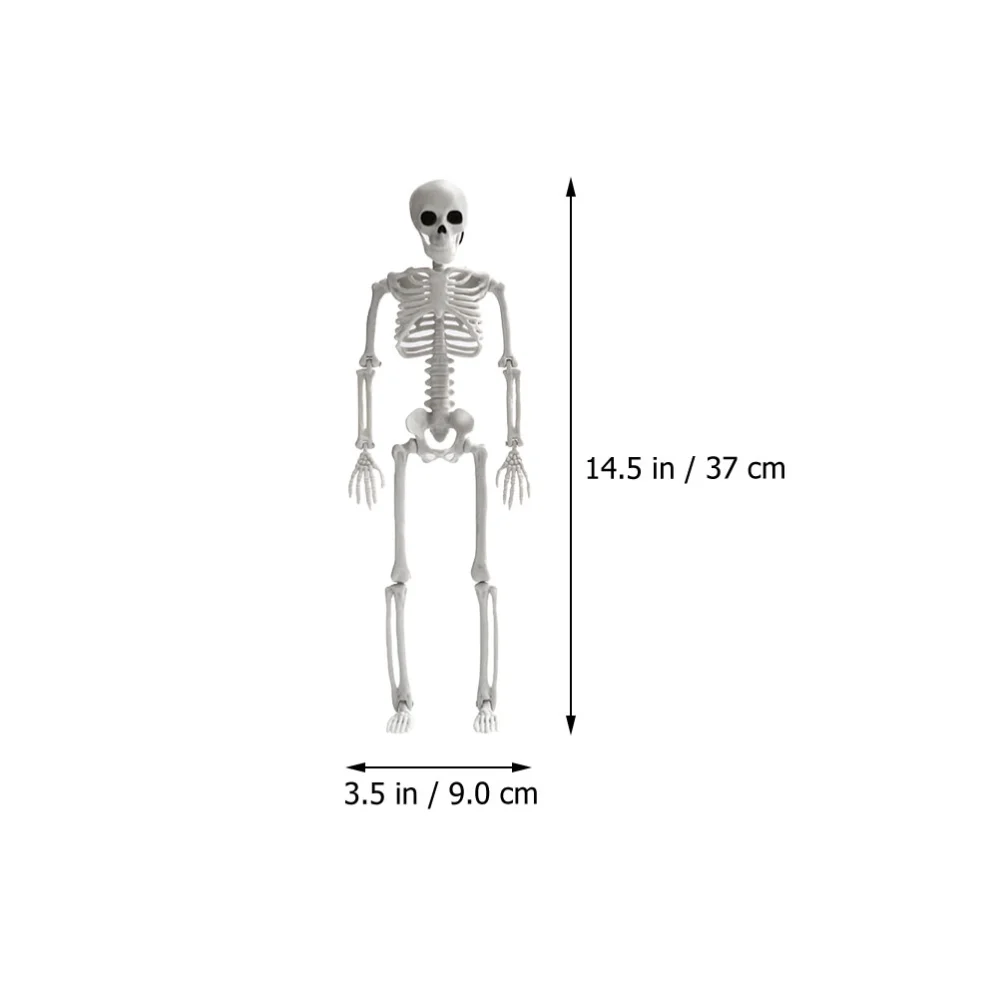 1Pc Simulated Skeleton Model Funny Skeleton Craft Halloween Layout Decor White