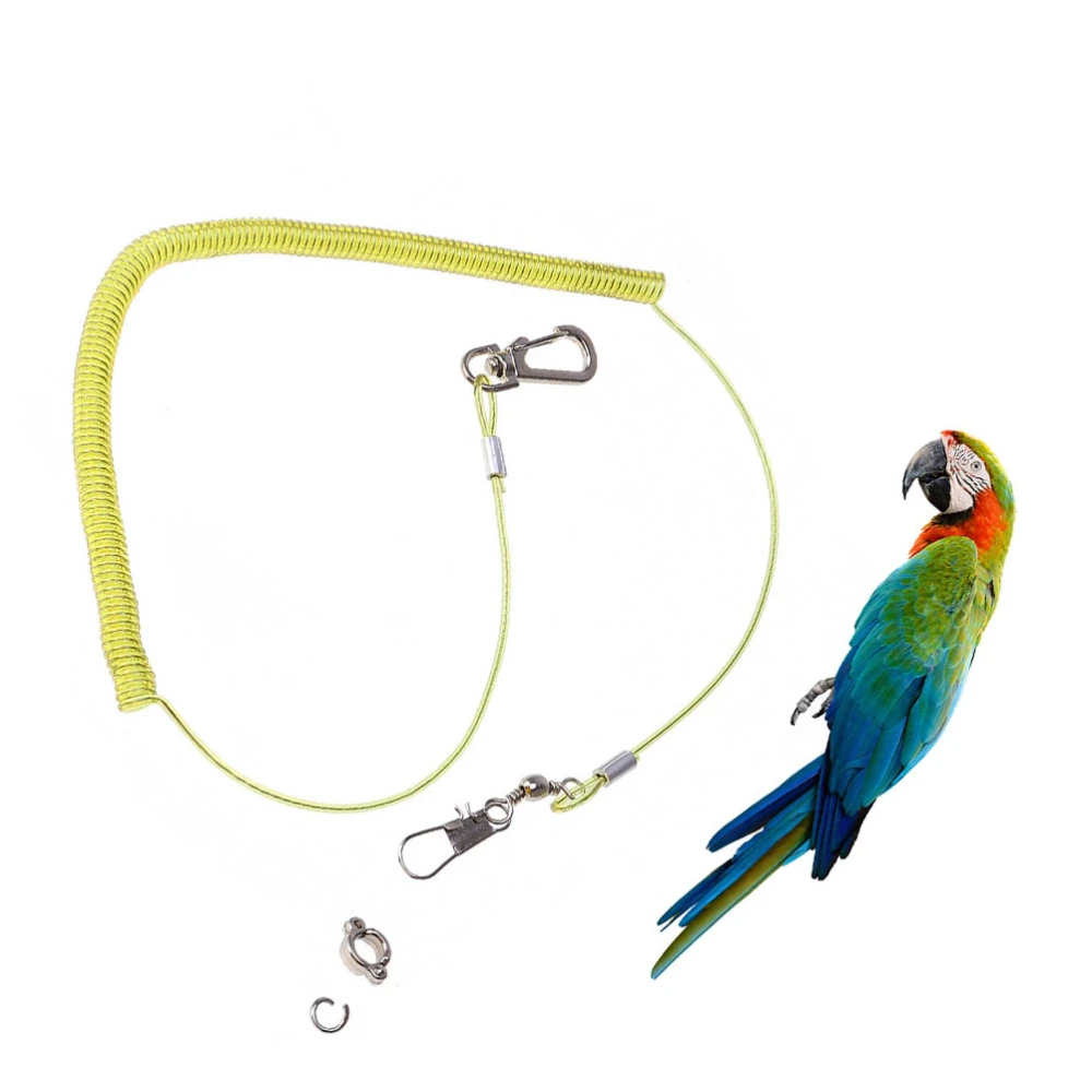 1pc 10 Meters Bird Leash Trainning Rope Flying Harness Anti-Bite Elastic String for Parrot - No.5 Claw Ring (Random Color)