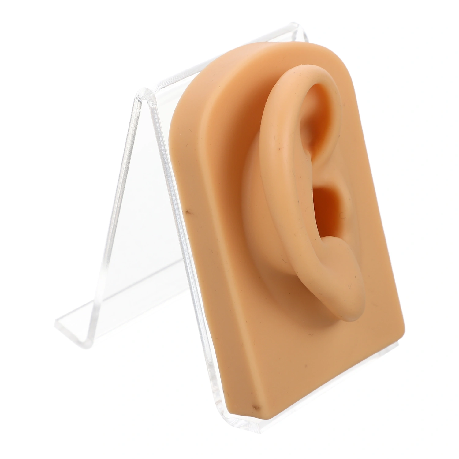 1 Set of Decorative Fake Ear Multi-function Ear Model Desktop Earring Holder Earring Accessory