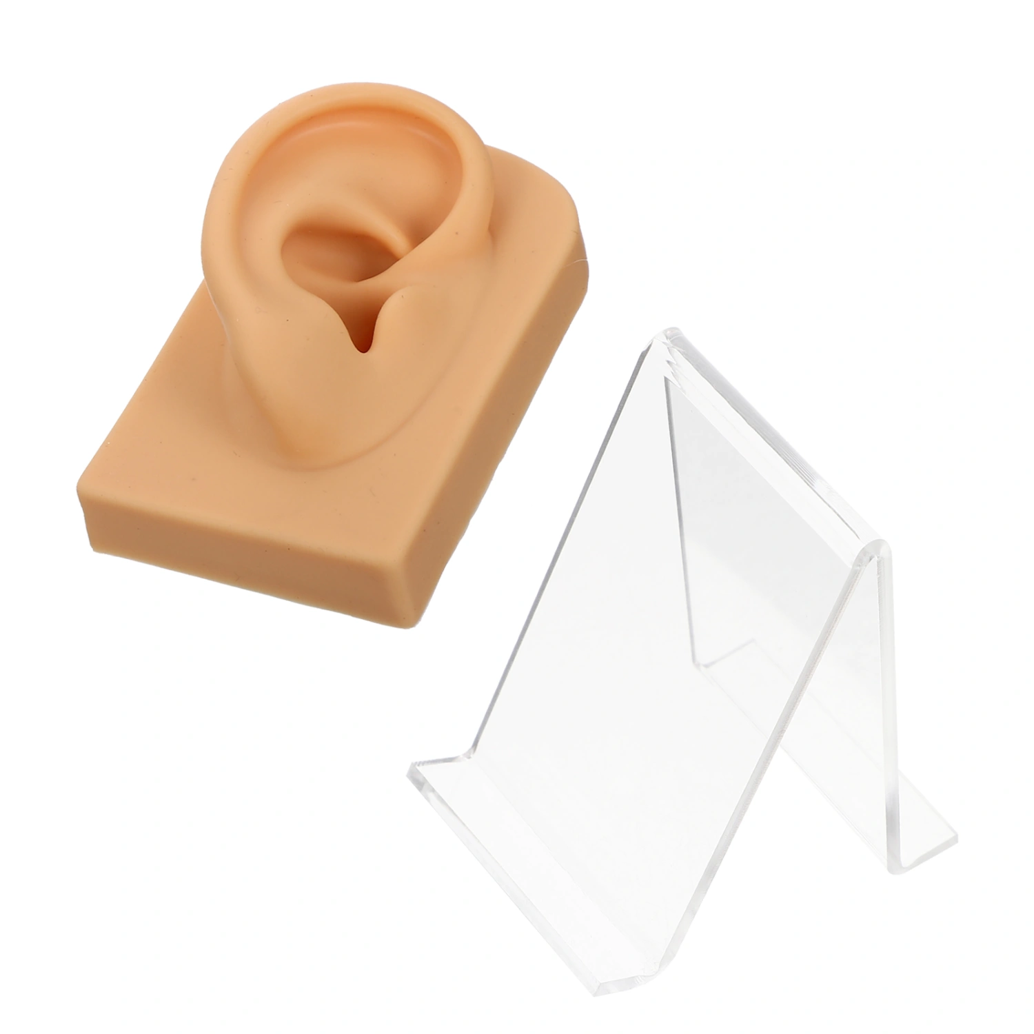 1 Set of Decorative Fake Ear Multi-function Ear Model Desktop Earring Holder Earring Accessory