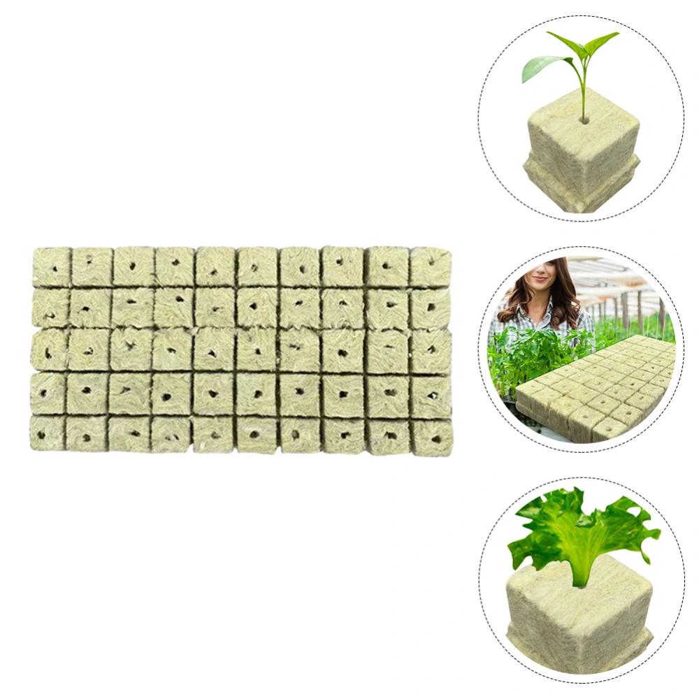 50pcs Professional Nutrient Blocks Plant Soilless Cultivation Nutrient Peat Blocks