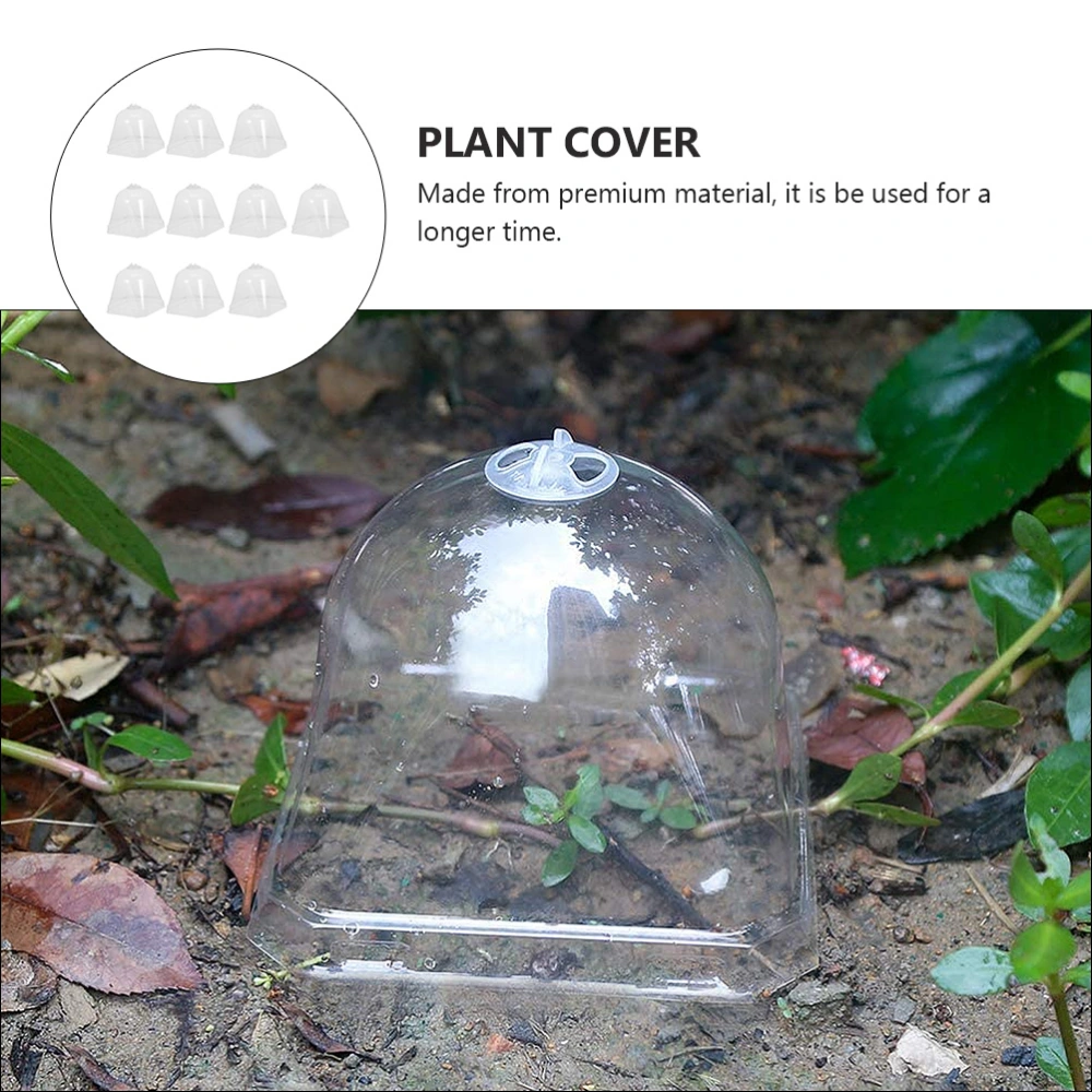 10pcs Plant Nursery Protector Transparent Garden Protection Dome Gardening Tool