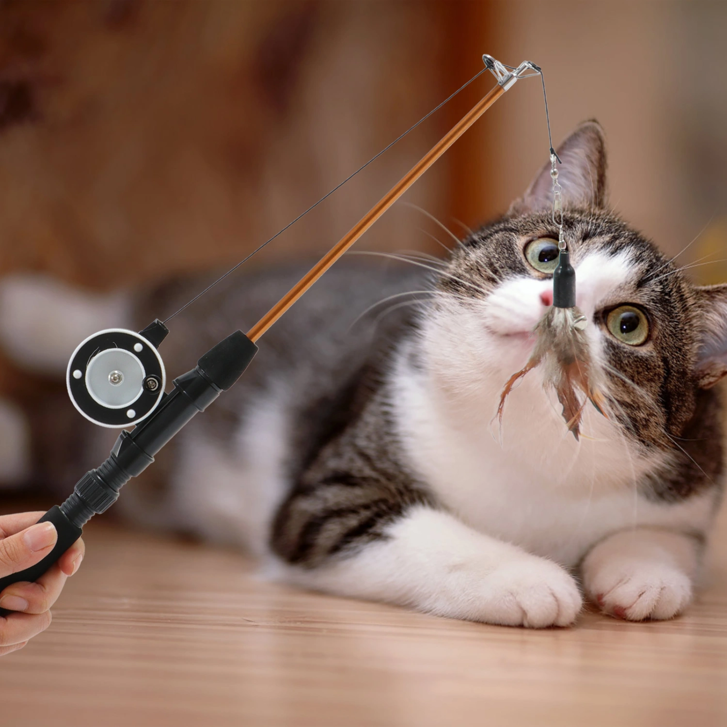 Retractable Cat Wand Toy Cat Teaser Toy Interactive Cat Toy Cat Teaser Stick Toy