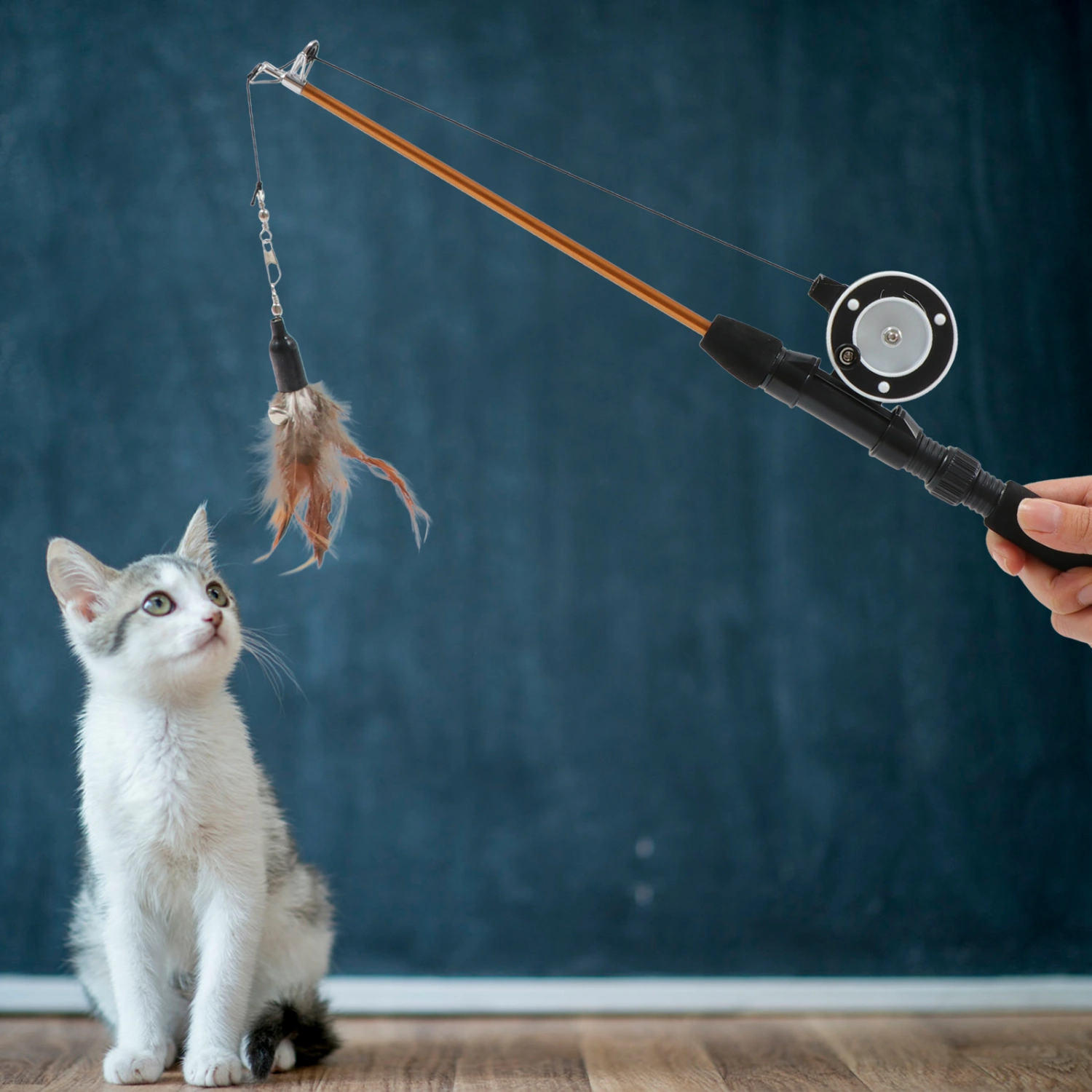 Retractable Cat Wand Toy Cat Teaser Toy Interactive Cat Toy Cat Teaser Stick Toy